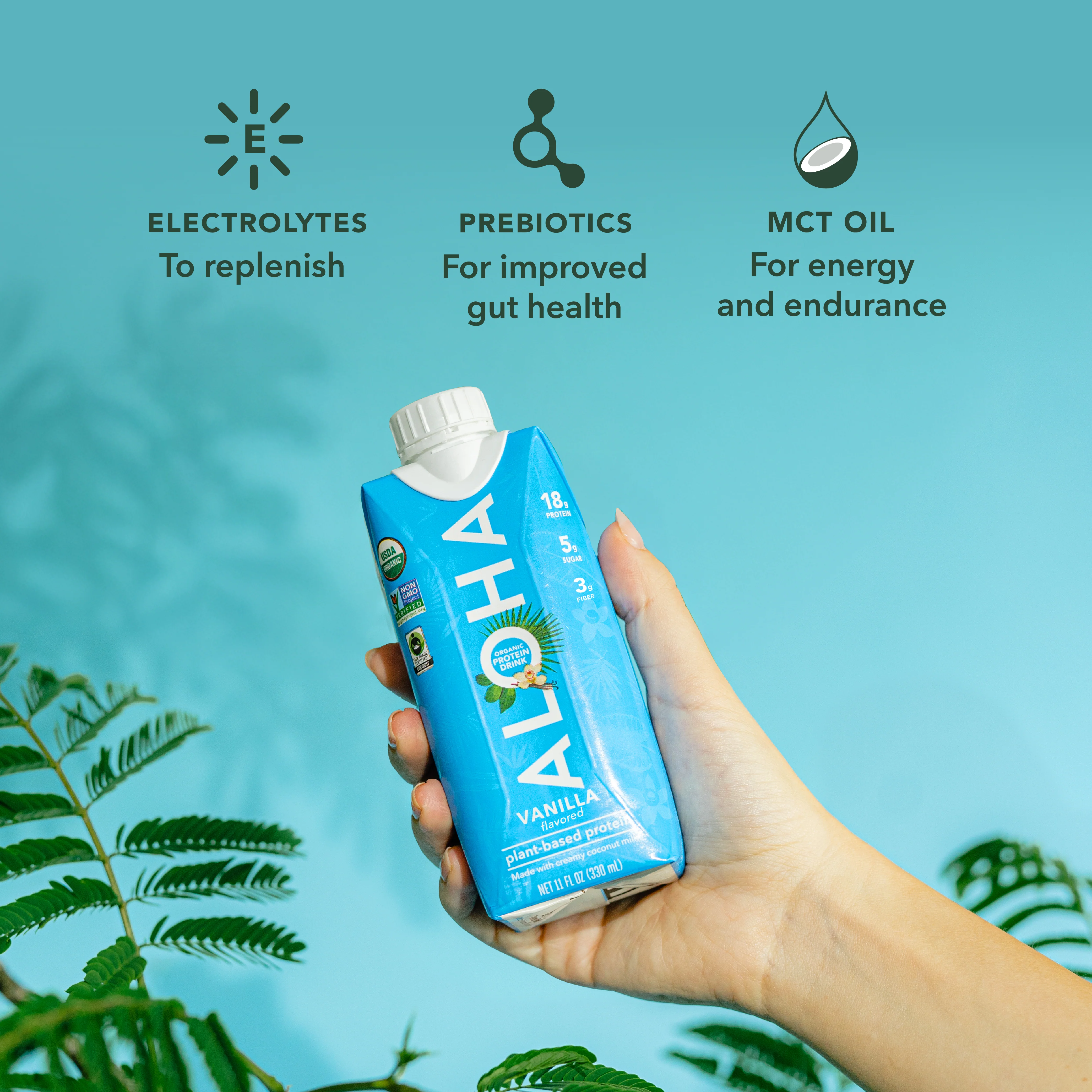 Vanilla - Protein Drinks (Out of Stock) - Image 2